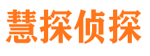 和龙市侦探公司